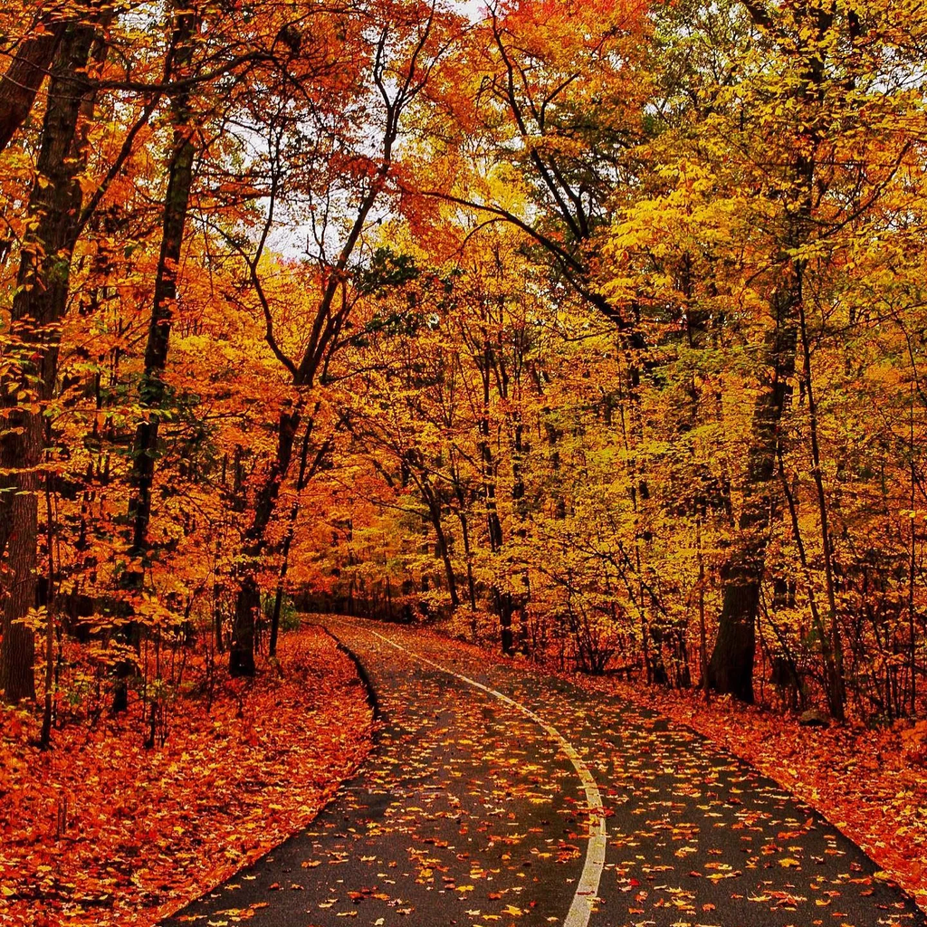 Embracing Fall Wellness with Eco-Friendly Choices