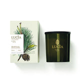 Lucia - Votive Soy Candle Les Saisons (55hr)