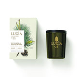 Lucia - Votive Soy Candle Les Saisons (20 hr)