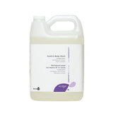 ecobar - Lavender Mint Hand & Body Wash