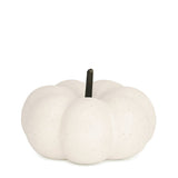 Natural Living - Decorative Pumpkin 9cm