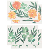 Now Designs - Pop Up Sponges Set of 4 Cedar & Citrus