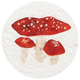 Now Designs - Assorted Sponge Autumn Bounty