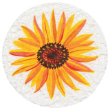 Now Designs - Assorted Sponge Autumn Bounty