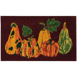 Now Designs - Doormat Harvest Gourds