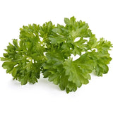 Click and Grow - Curly Parsley Refill