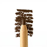 Pure Anada - Pencil Eyeliners