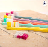 Lamazuna - Adult Toothbrush Reloads Soft