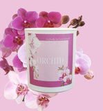 terra20 - Candles Spring/Summer 2026 Collection