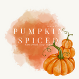 terra20 - Fall Candle Collection 2026