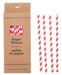 Life Without Waste - Paper Straws (24pack)